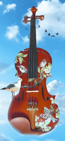 Rozanna's Song Bird Violin Outfit | Robin Egg Blue Pearl Tuners & Brazilwood Bow