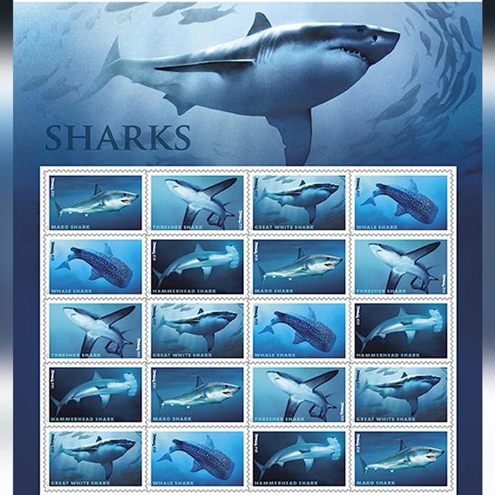 2017 Sharks Forever postage stamps, 20 or 100 count