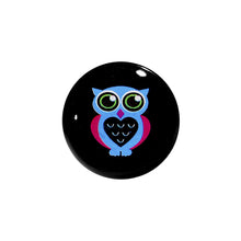 9/16 Acrylic Heart Owl Saddle Plug