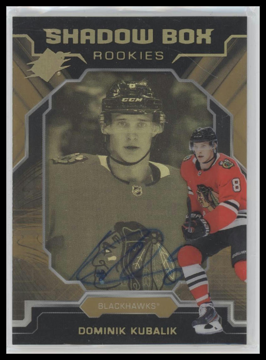 2019-20 SPx Shadow Box Rookies Autographs Dominik Kubalik #/150 Auto #S-DK