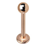 16G 3/8 Rose Gold Plated Labret Tragus Monroe
