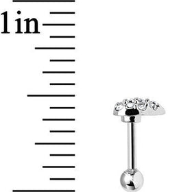 Clear Crystal 18G Faithful Heart Cartilage Tragus Earring