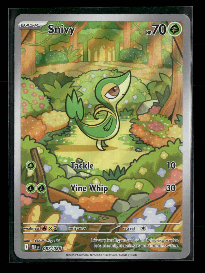 SV: Black Bolt Snivy #087/086