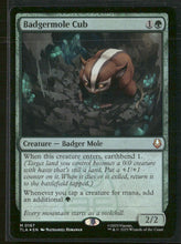 Avatar: The Last Airbender Badgermole Cub #167