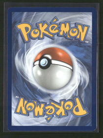 SV10: Destined Rivals Rapidash #189/182