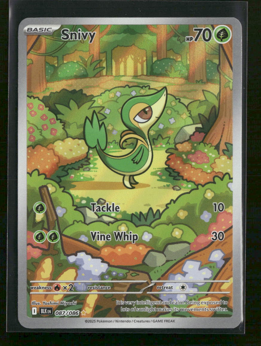 SV: Black Bolt Snivy #087/086