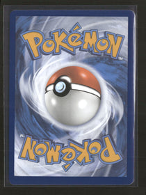 SWSH: Sword & Shield Promo Cards Lucario VSTAR #SWSH291
