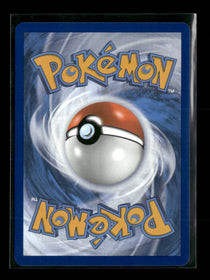SWSH: Sword & Shield Promo Cards Lucario VSTAR #SWSH291