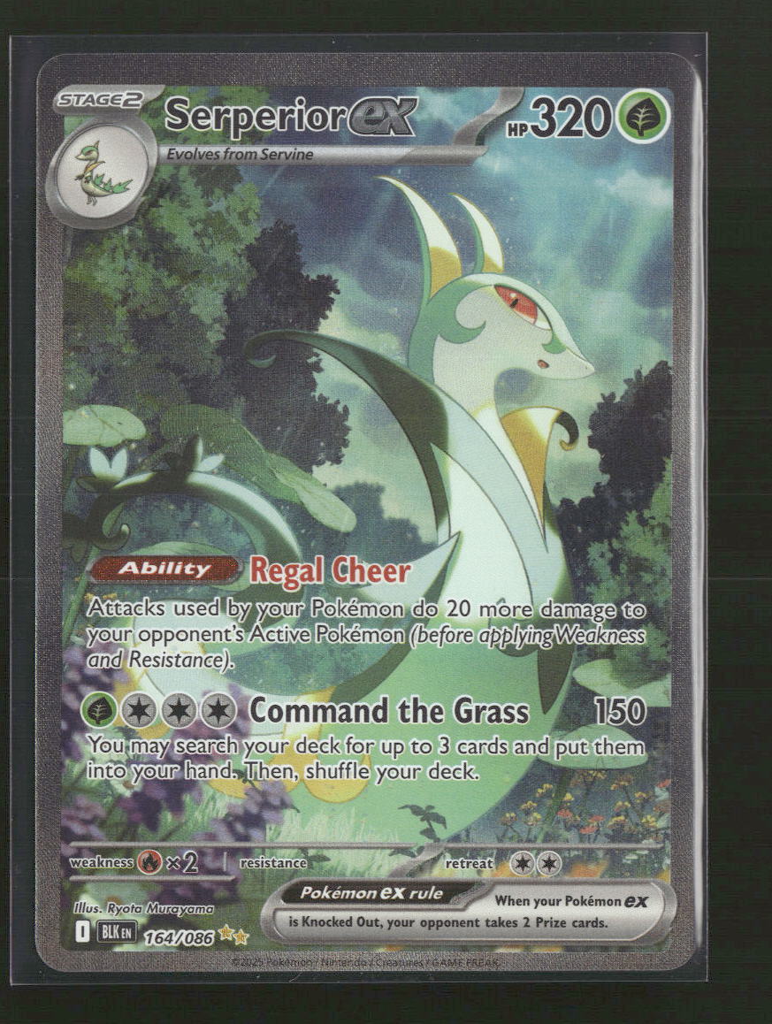 SV: Black Bolt Serperior ex #164/086