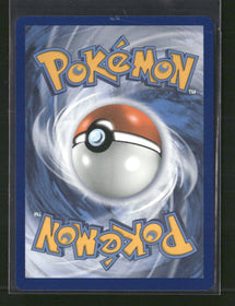 SWSH: Sword & Shield Promo Cards Pikachu VMAX #SWSH286