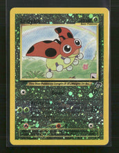 Southern Islands Ledyba #07/18