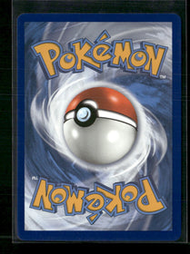 Hidden Fates: Shiny Vault Froakie #SV11/SV94