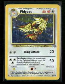 Jungle Pidgeot (8) #08/64