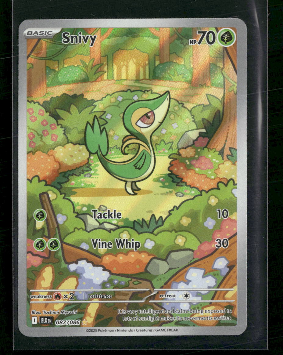 SV: Black Bolt Snivy #087/086