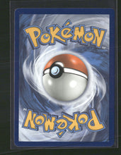 Alternate Art Promos Zoroark GX #077a/073