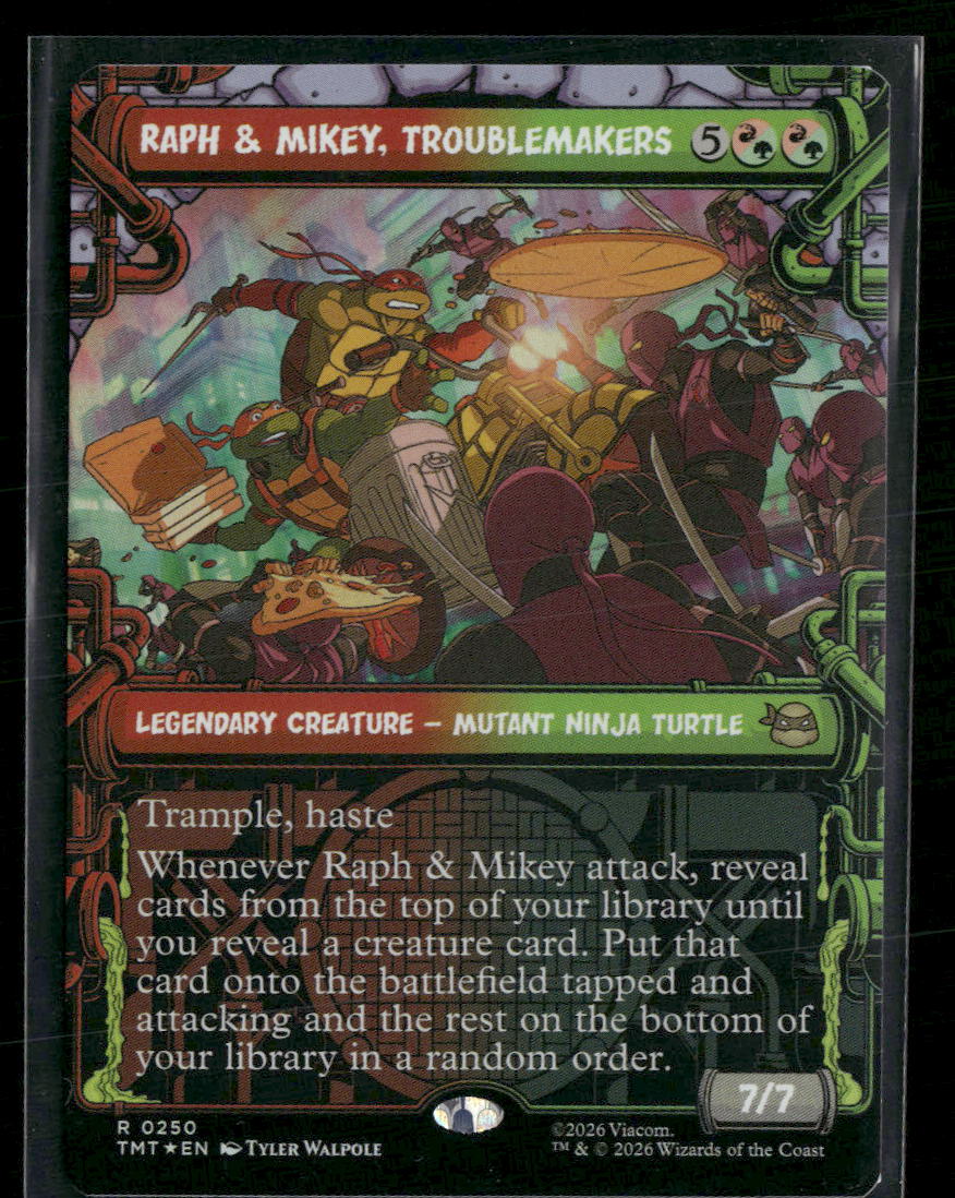 Teenage Mutant Ninja Turtles Raph & Mikey, Troublemakers (Showcase) #250