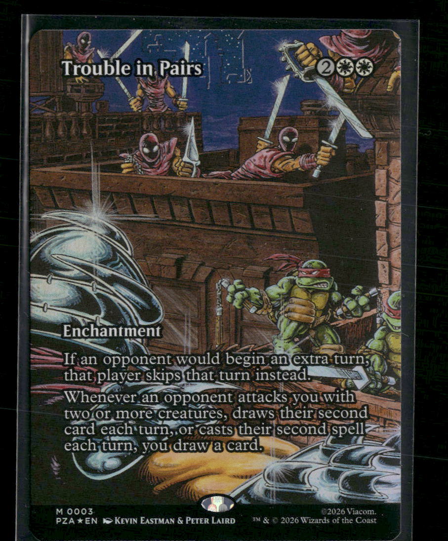 Teenage Mutant Ninja Turtles Source Material Trouble in Pairs (Borderless) #3