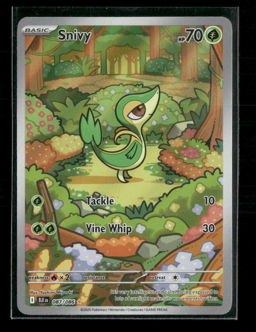 SV: Black Bolt Snivy #087/086