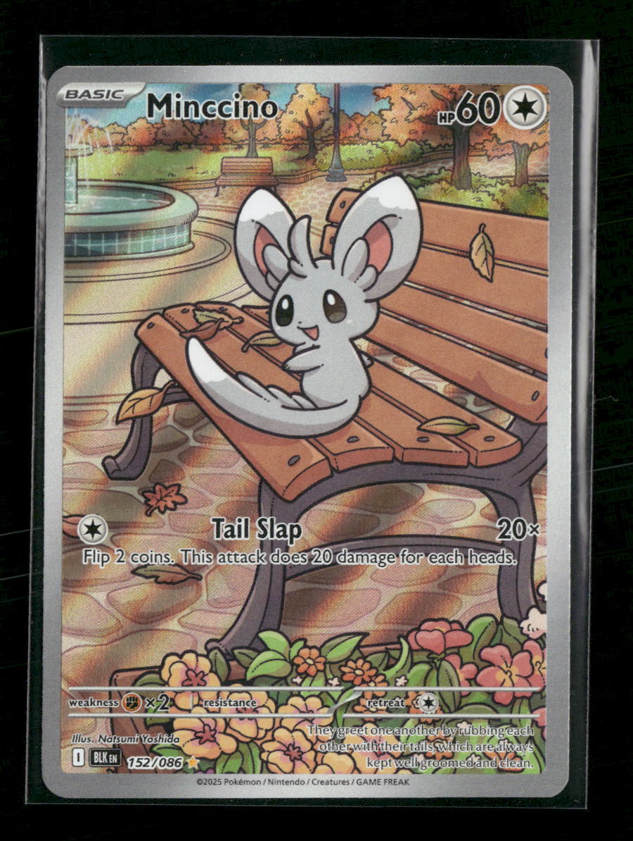 SV: Black Bolt Minccino #152/086