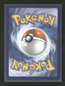 SV10: Destined Rivals Team Rocket's Houndoom #191/182