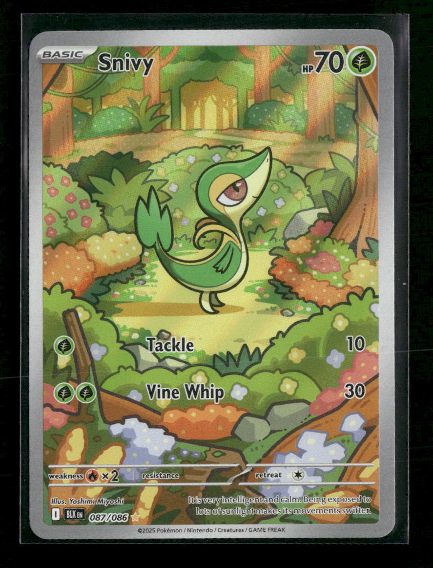 SV: Black Bolt Snivy #087/086