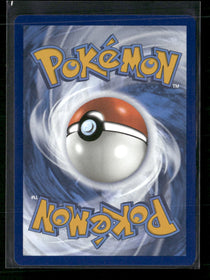 SV: Scarlet & Violet Promo Cards Greninja ex #132