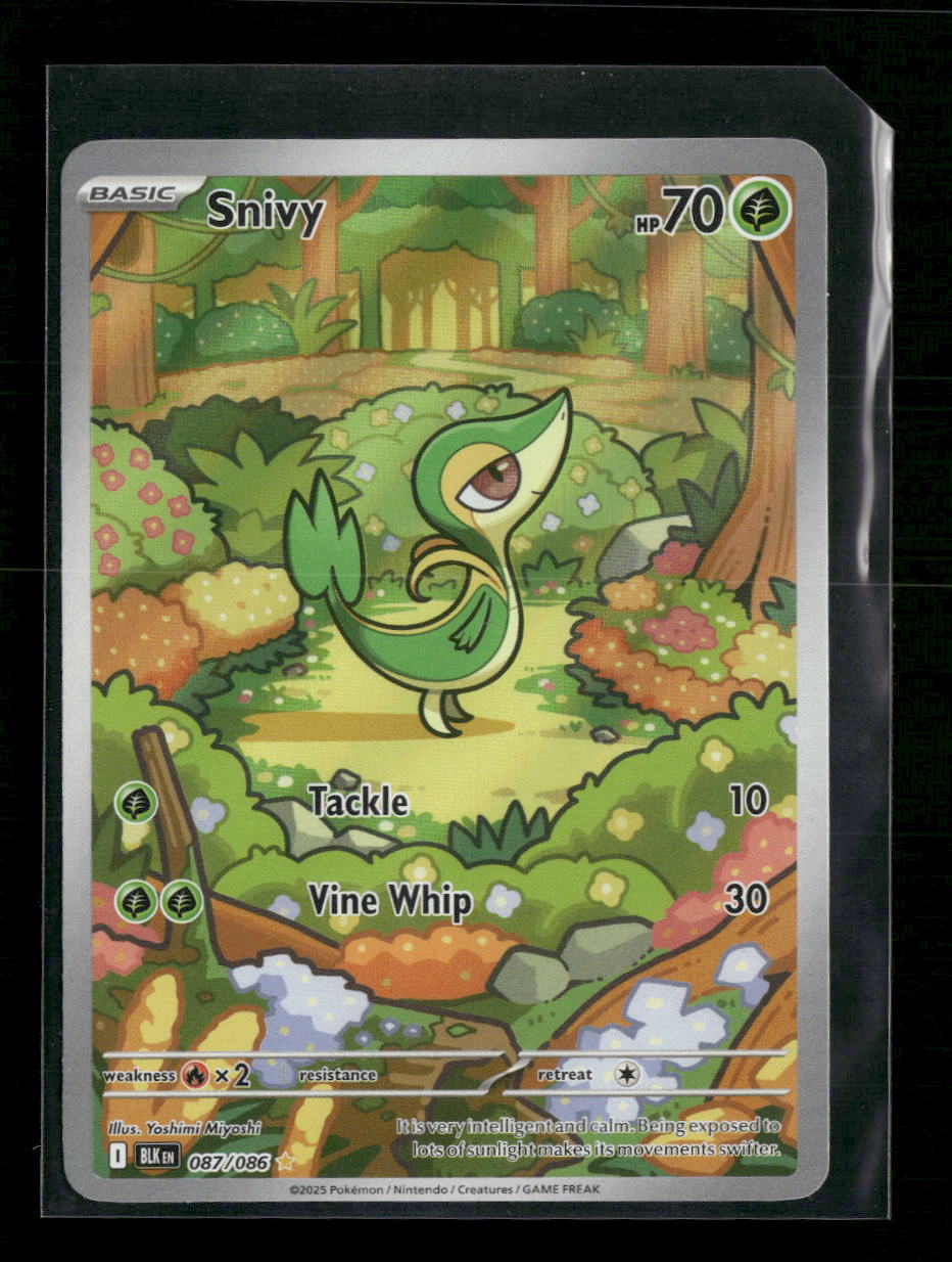 SV: Black Bolt Snivy #087/086