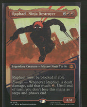 Teenage Mutant Ninja Turtles Raphael, Ninja Destroyer (Borderless) #218