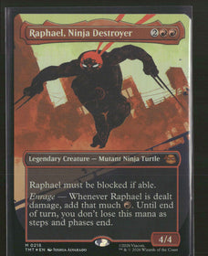 Teenage Mutant Ninja Turtles Raphael, Ninja Destroyer (Borderless) #218