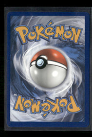 SWSH: Sword & Shield Promo Cards Lance's Charizard V #SWSH133