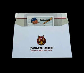 eBay Standard Envelope Shipping Envelope ARMALOPE