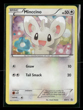 Black and White Promos Minccino #BW13