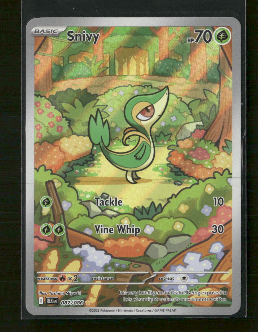 SV: Black Bolt Snivy #087/086