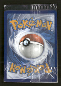 SWSH: Sword & Shield Promo Cards Lucario VSTAR #SWSH291