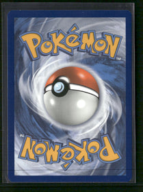 SM Promos Reshiram & Charizard GX #SM247