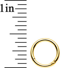16G 5/16 Gold Anodized Titanium Hinged Segment Ring