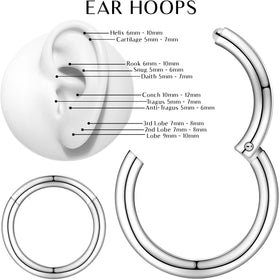 16G 5/16 Stainless Steel Hinged Segment Ring