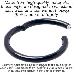 16G 3/8 Black PVD Hinged Segment Ring