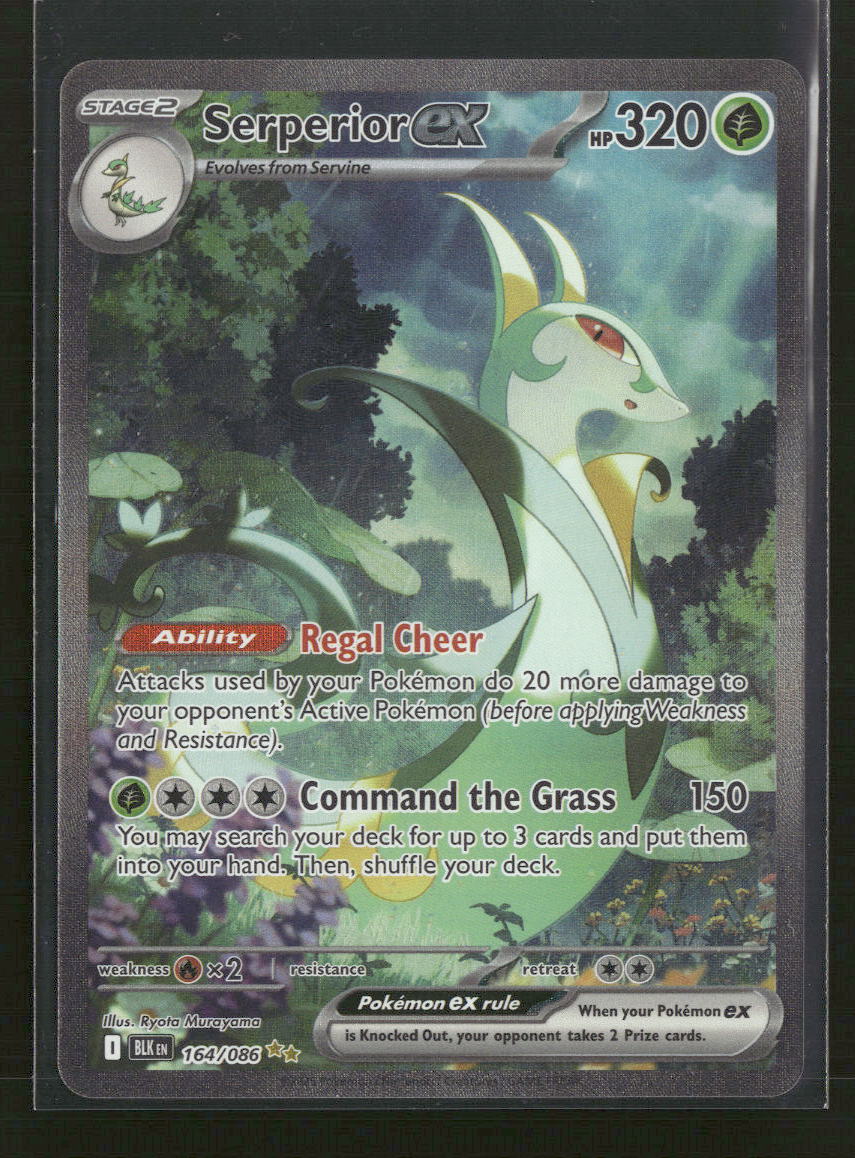 SV: Black Bolt Serperior ex #164/086