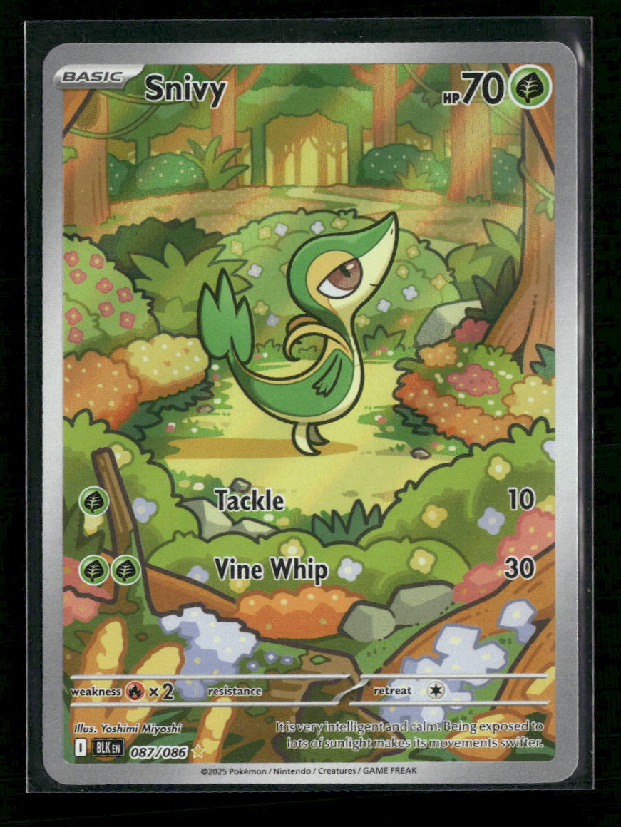 SV: Black Bolt Snivy #087/086