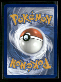 SWSH: Sword & Shield Promo Cards Lucario VSTAR #SWSH291