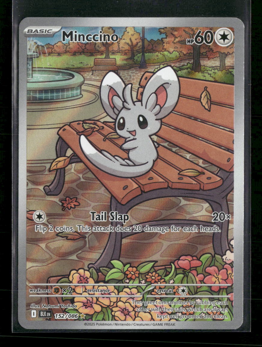 SV: Black Bolt Minccino #152/086