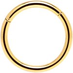 16G 3/8 Gold Tone Anodized Hinged Segment Ring