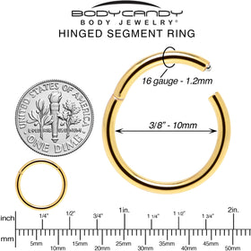 16G 3/8 Gold Tone Anodized Hinged Segment Ring