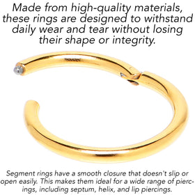 16G 3/8 Gold Tone Anodized Hinged Segment Ring