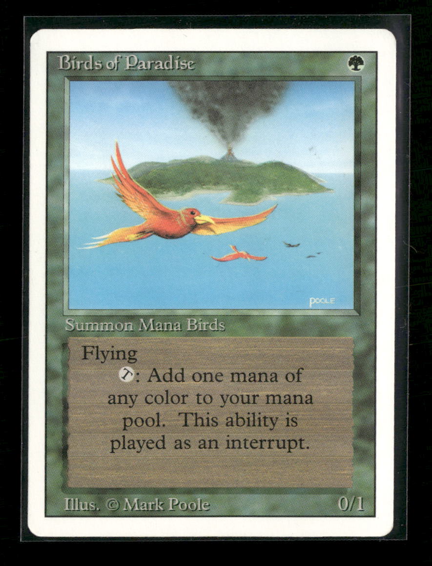 Revised Edition Birds of Paradise