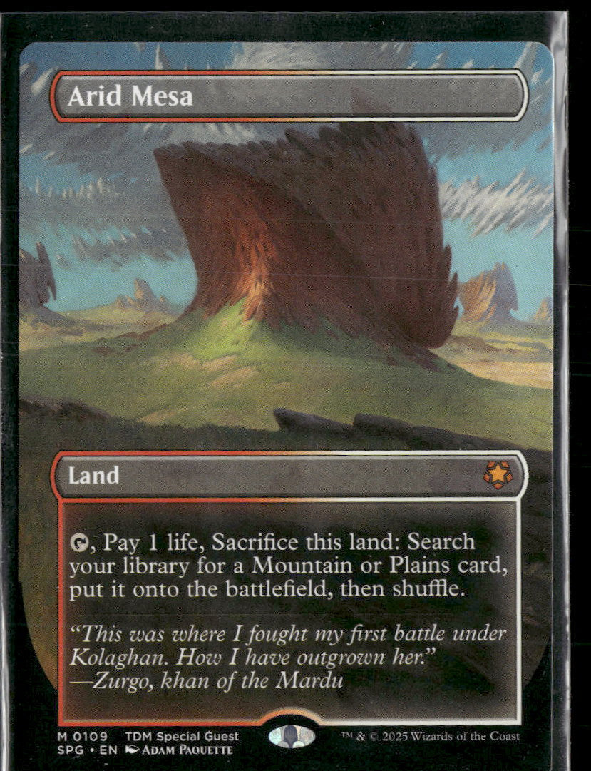 Special Guests Arid Mesa (Borderless) #109