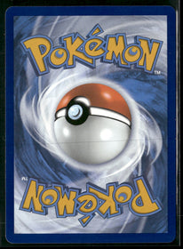 SWSH: Sword & Shield Promo Cards Lucario VSTAR #SWSH291