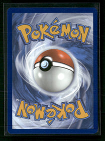 SV08: Surging Sparks Phanpy #205/191
