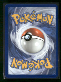 SWSH: Sword & Shield Promo Cards Pikachu VMAX #SWSH062